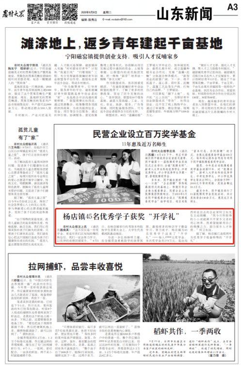 公平镇最新爆料新闻报道,揭秘背后惊人真相